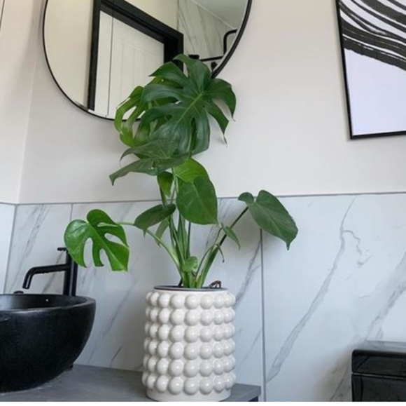 Large h&m plant pot with bubbles